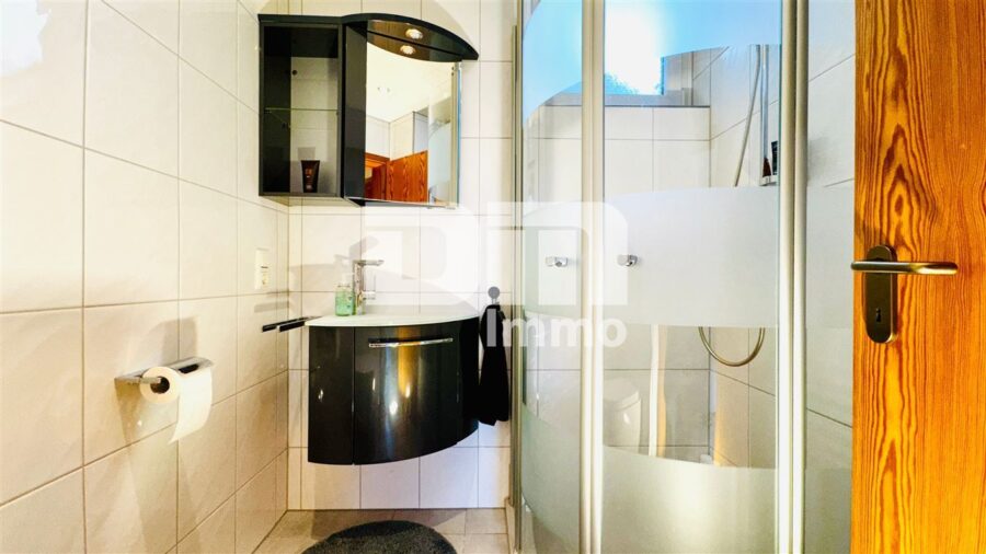 Teilsaniertes Traumhaus in begehrter Lage auf großem Grundstück mit Panoramablick - Souterrain Badezimmer / Dusche